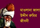 মাওলানা রুমির জীবনী, mawlana rumi biography, জালাল উদ্দিন মুহাম্মদ রুমি, আধ্যাত্মিক কবি, মাওলানা জালালউদ্দিন রুমির জীবনী, Porompath, পরমপাঠ